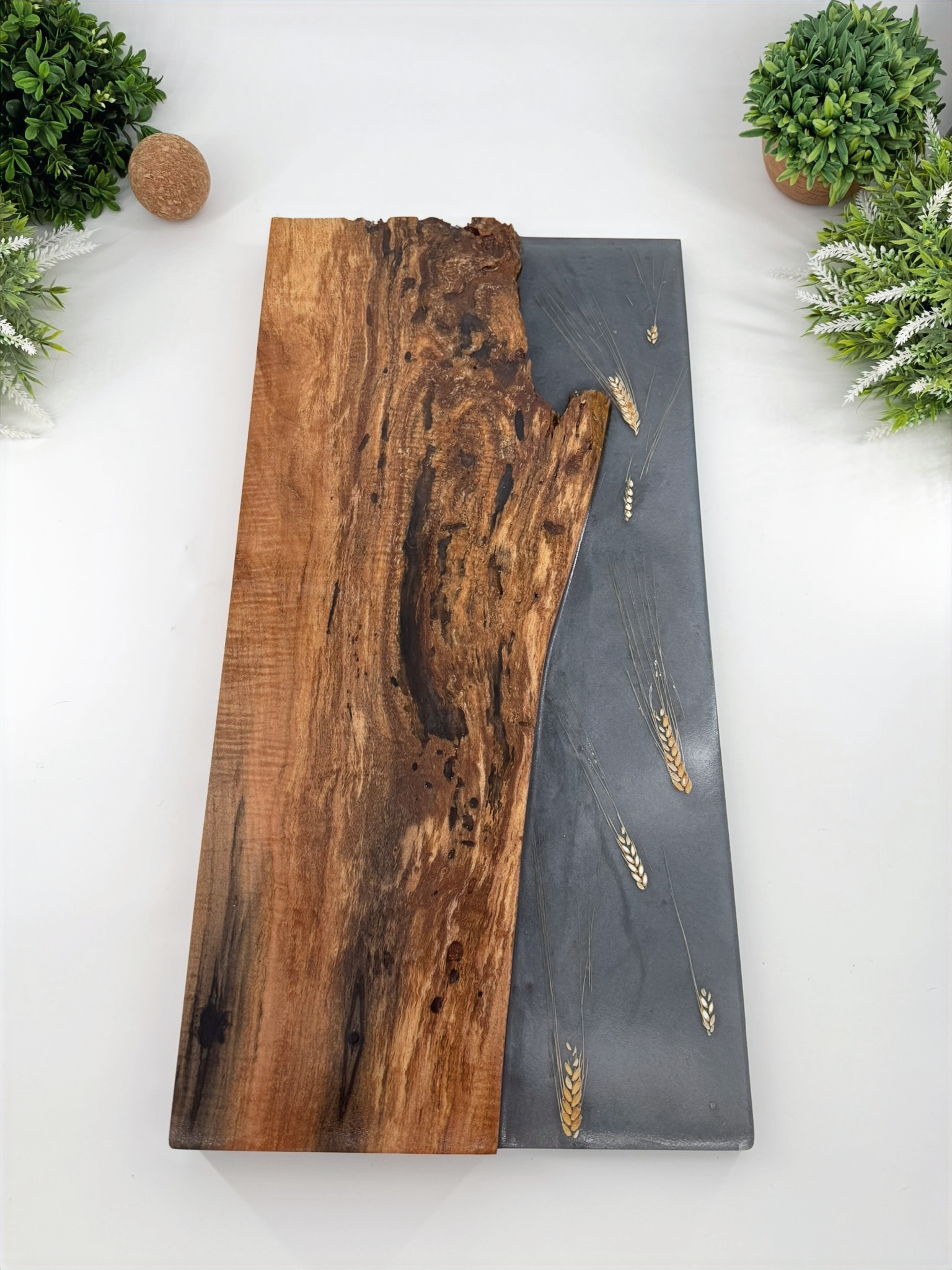 Live Edge sycamore Art