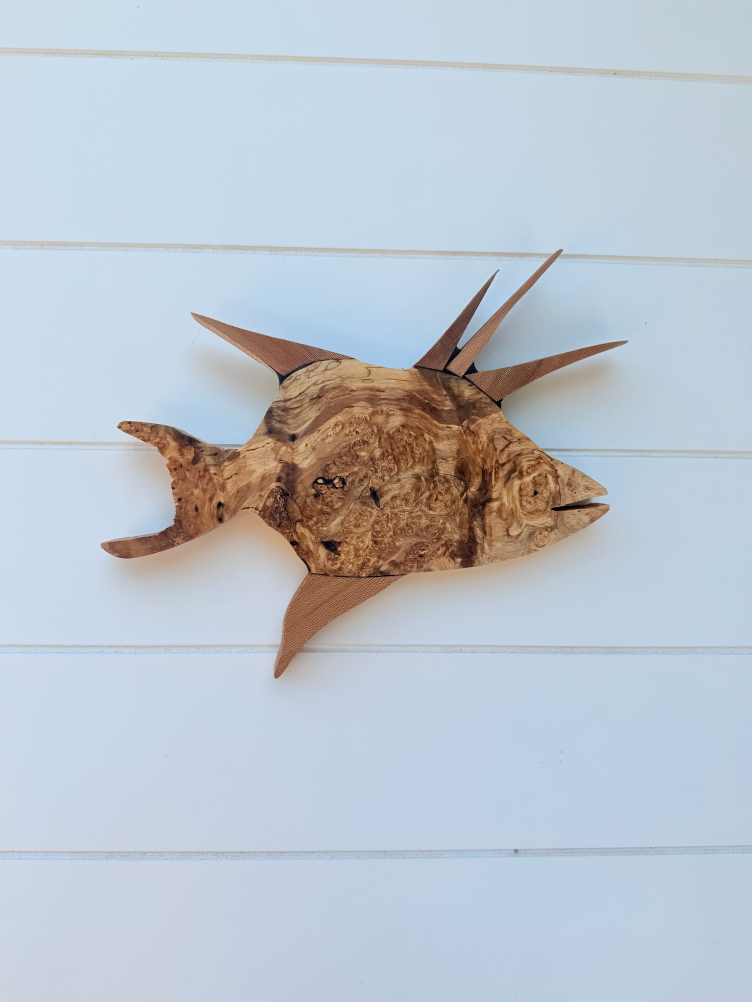 Maple Burl Hognose Fish Wall Art