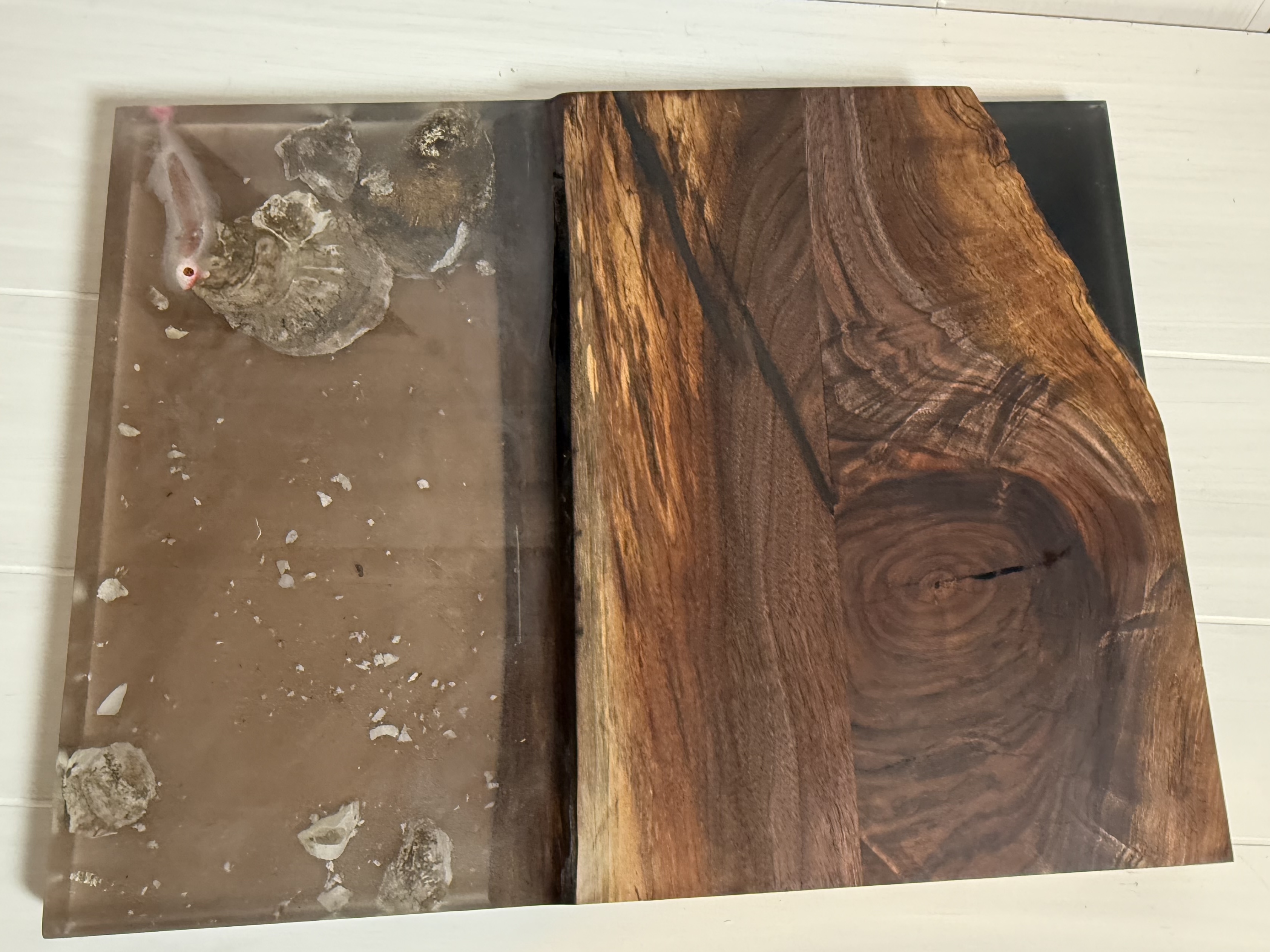 Walnut Hybrid with oysters and fishing lure