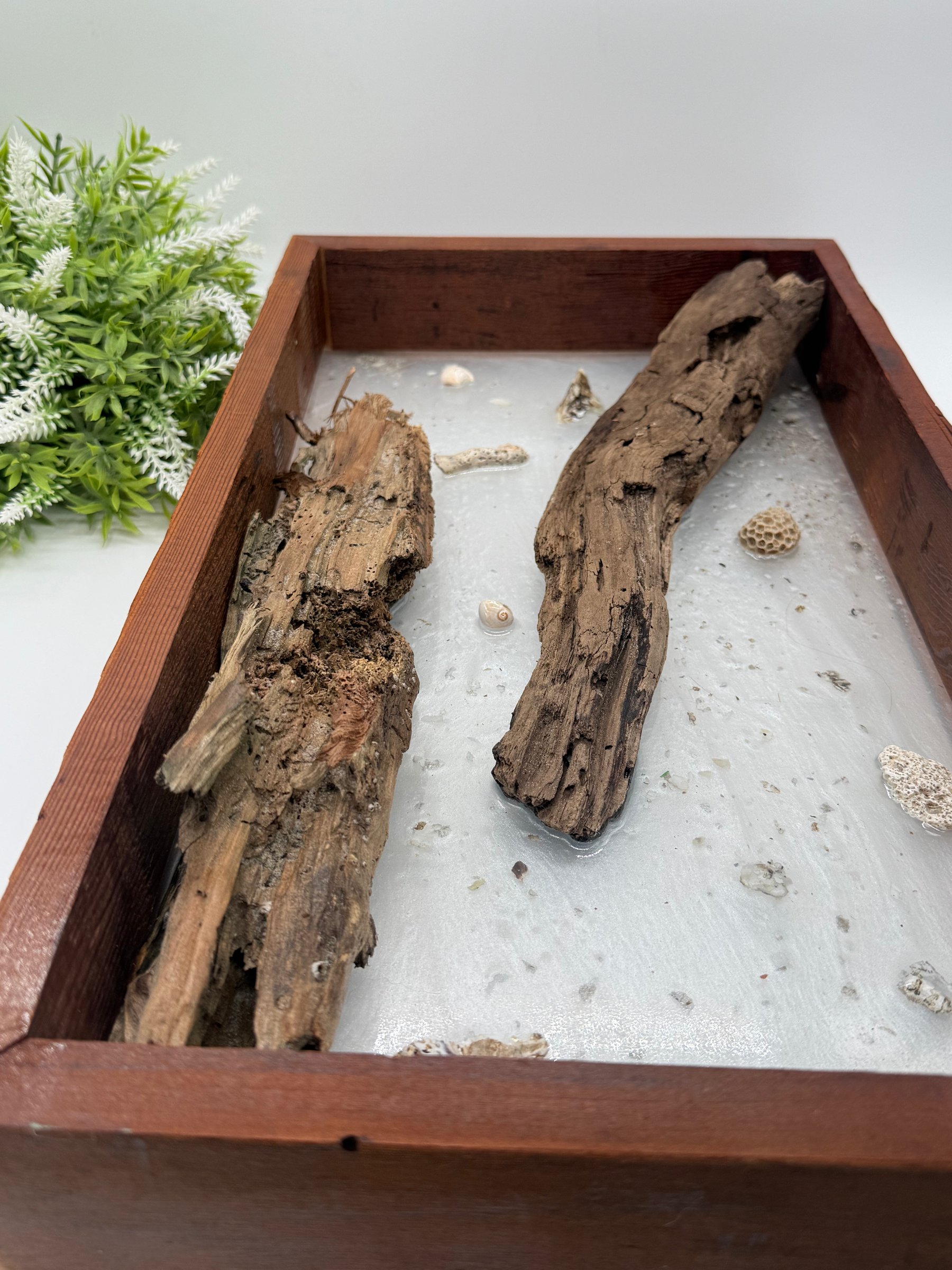 Framed Epoxy with driftwood and oyster Decor