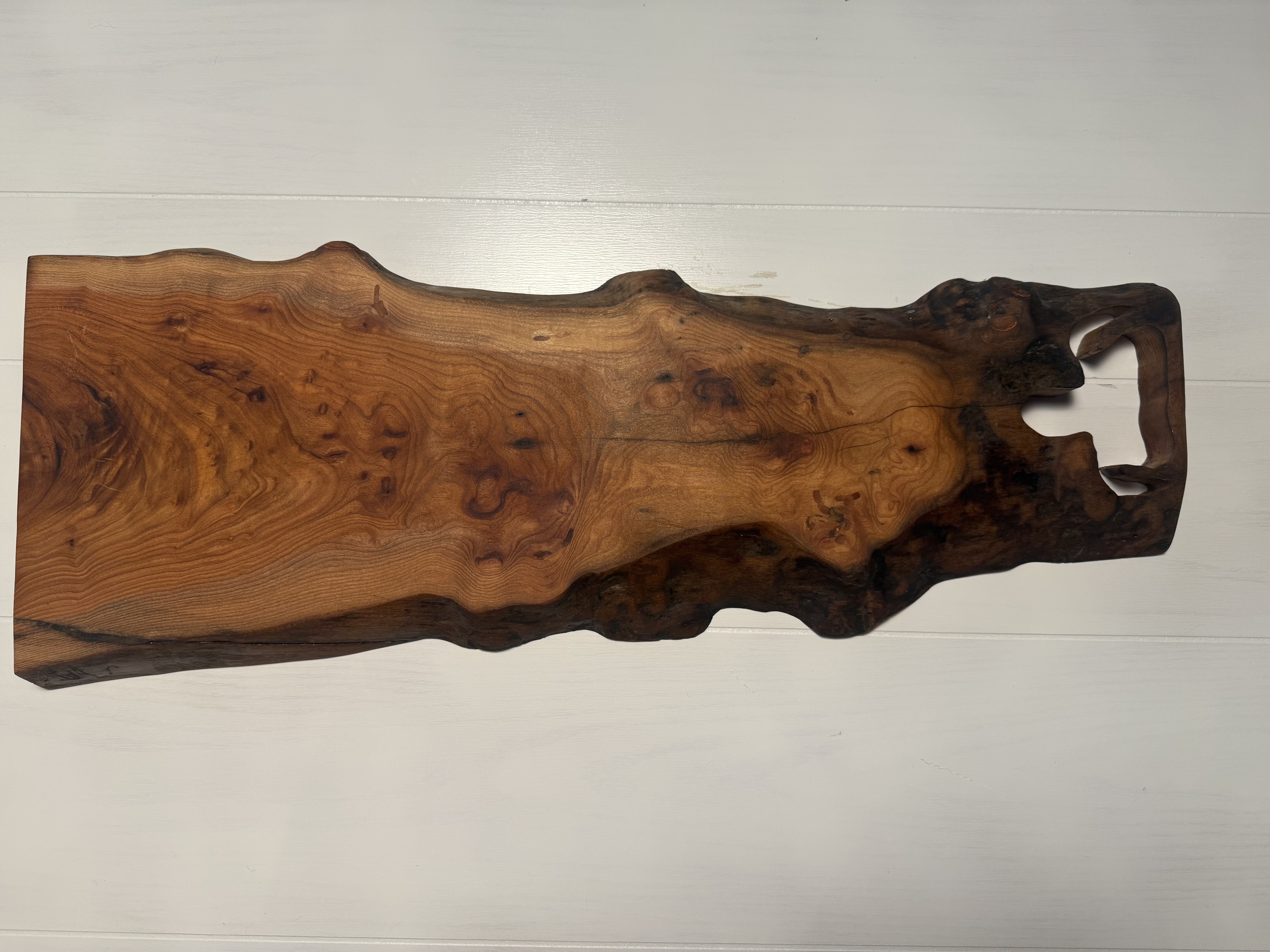 Chinese Elm Burl Live Edge